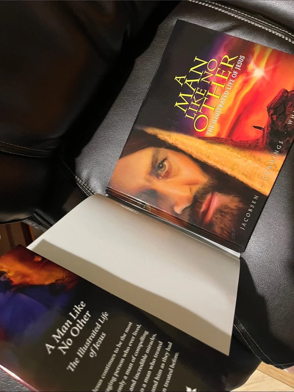 A Man Like No Other: The Illustrated Life of Jesus Hardcover w/ Dust Jacket, NEW